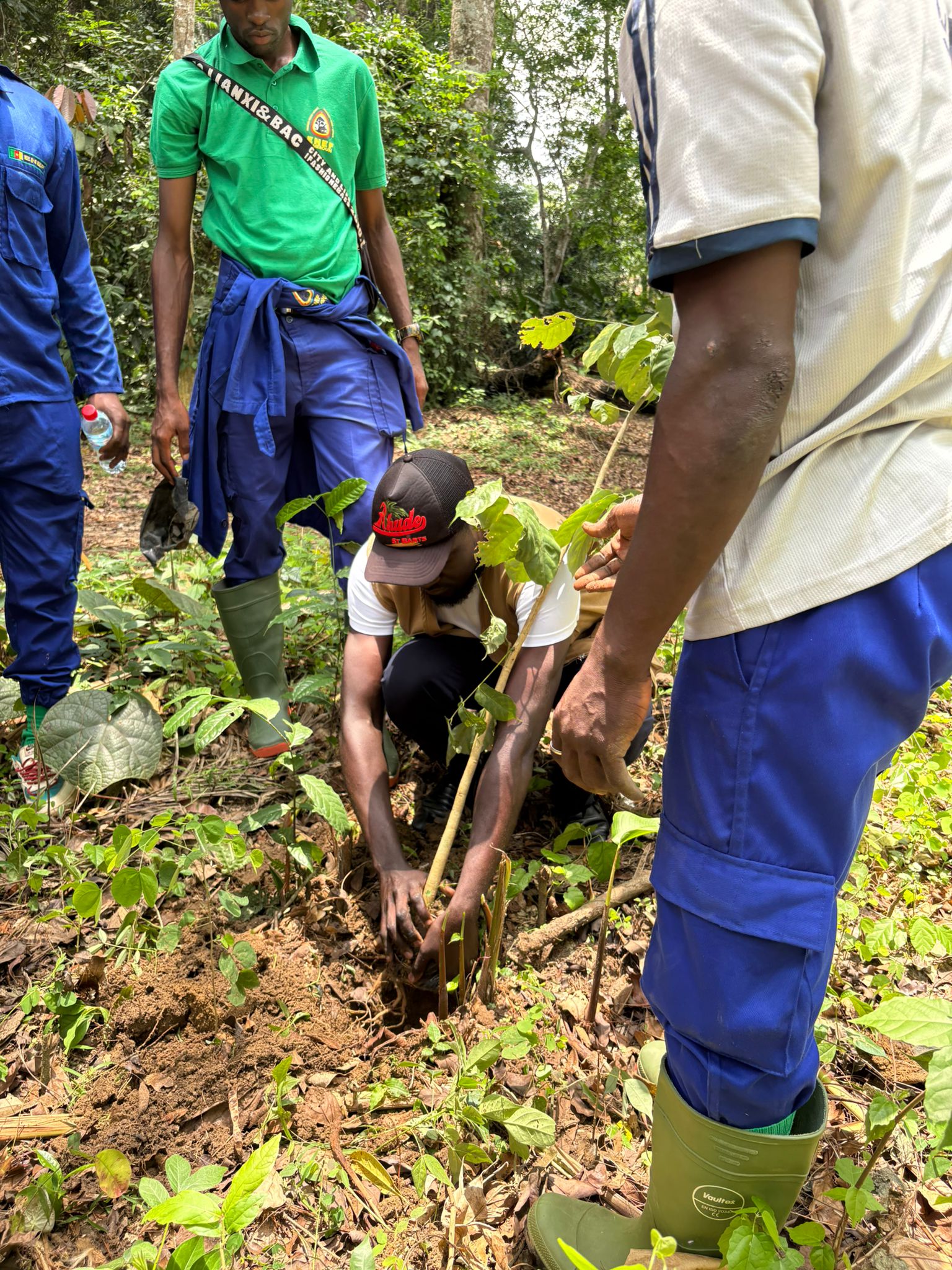 International Day of Forests: Mbalmayo